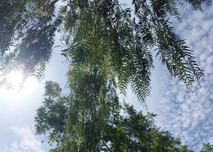 Nadira מלון דירות